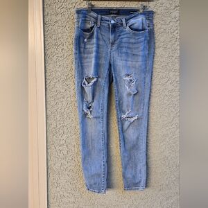 Judy Blue Skinny Fit Jeans